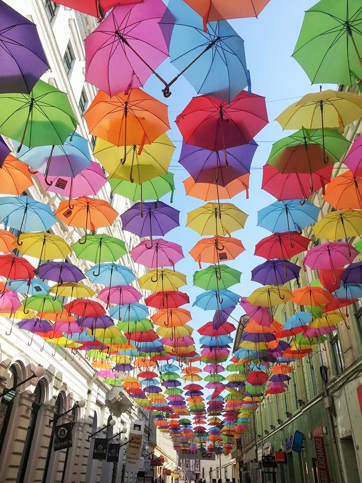 Timisoara sub umbrele