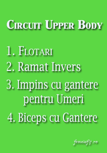 CircuitUpper-Body